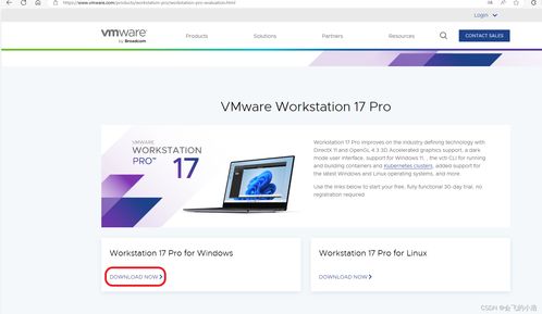 VMware Workstation Pro 17 軟件下載與安裝全攻略及歷史版本下載指南